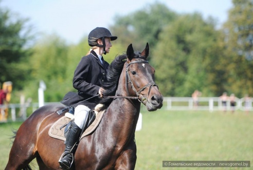 В Гомеле проходят соревнования по конному спорту