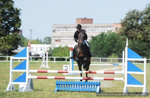 В Гомеле проходят соревнования по конному спорту