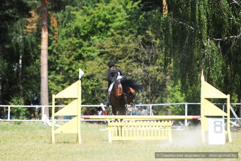 В Гомеле проходят соревнования по конному спорту