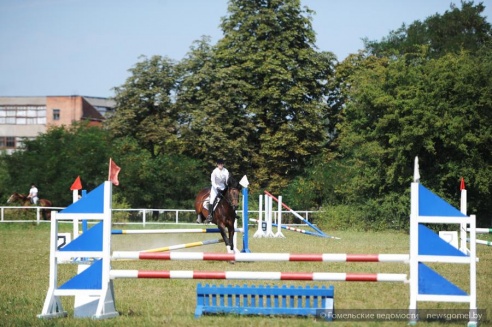 В Гомеле проходят соревнования по конному спорту