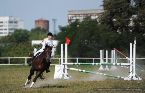 В Гомеле проходят соревнования по конному спорту