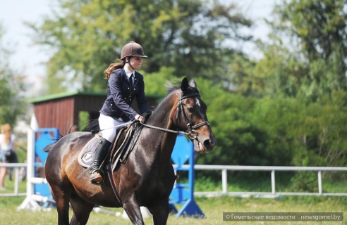В Гомеле проходят соревнования по конному спорту