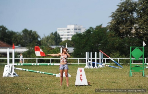 В Гомеле проходят соревнования по конному спорту