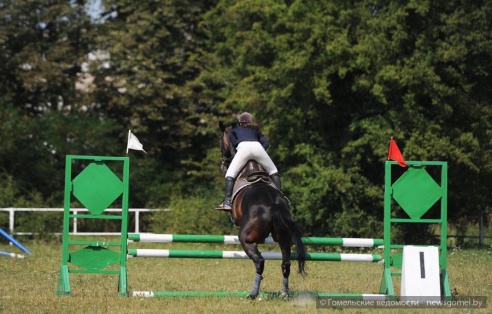 В Гомеле проходят соревнования по конному спорту