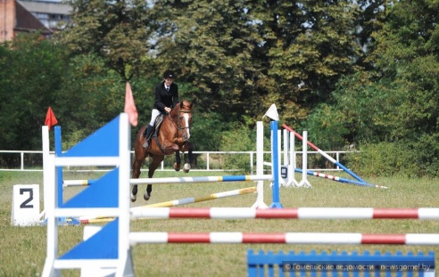 В Гомеле проходят соревнования по конному спорту