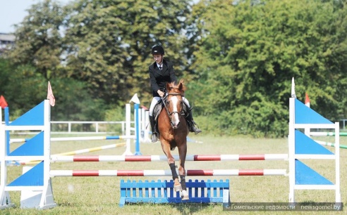 В Гомеле проходят соревнования по конному спорту