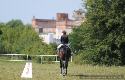 В Гомеле проходят соревнования по конному спорту