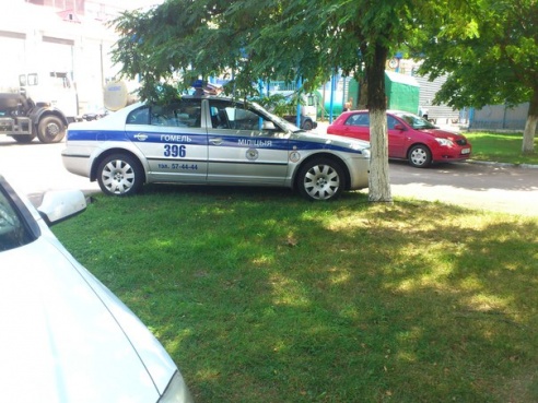 Гомельчанин сфотографировал парковку автомобиля ГАИ на газоне и вызвал нешуточную дискуссию