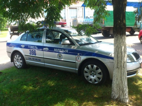 Гомельчанин сфотографировал парковку автомобиля ГАИ на газоне и вызвал нешуточную дискуссию