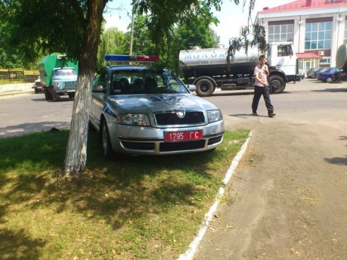 Гомельчанин сфотографировал парковку автомобиля ГАИ на газоне и вызвал нешуточную дискуссию