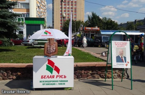 Фотофакт: гомельские активисты используют пикеты по сбору подписей за Лукашенко для решения городских проблем