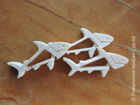 Один из первых в Беларуси 3D-принтеров собрал гомельчанин Тарас Процив