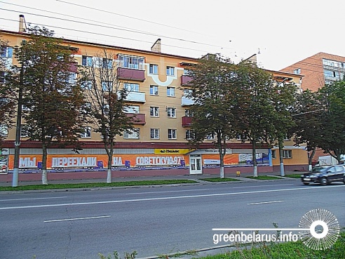 Фотофакт: в Гомеле уже в середине лета поникли каштаны и опадают клены