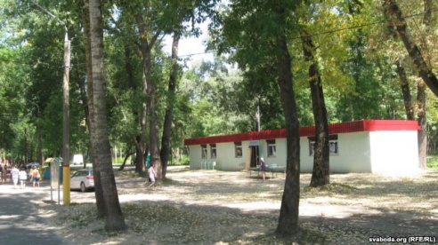 «Чтобы у начальников в кабинете была такой пол с ракушками, как у нас здесь берег на пляже». Гомельчане рассказали об отдыхе на Соже