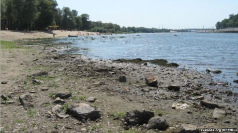 «Чтобы у начальников в кабинете была такой пол с ракушками, как у нас здесь берег на пляже». Гомельчане рассказали об отдыхе на Соже