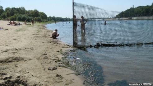 «Чтобы у начальников в кабинете была такой пол с ракушками, как у нас здесь берег на пляже». Гомельчане рассказали об отдыхе на Соже