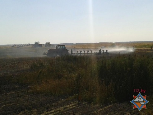 В Оршанском районе загорелось пшеничное поле