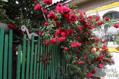 Добрая фея Казимировской Слободы