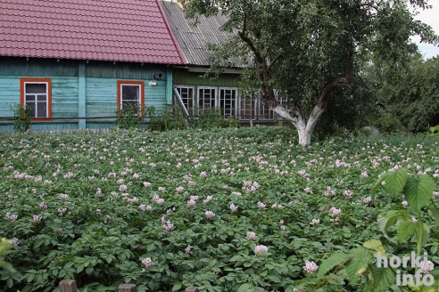 Добрая фея Казимировской Слободы