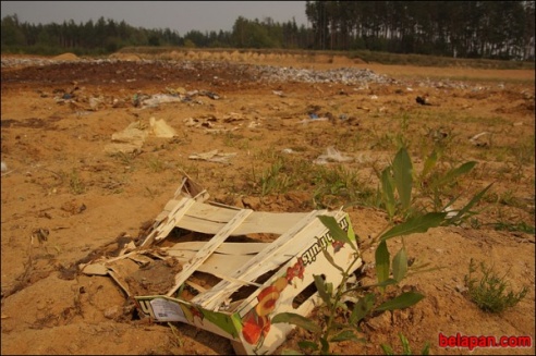 ФОТОФАКТ: Как в России уничтожают санкционные персики