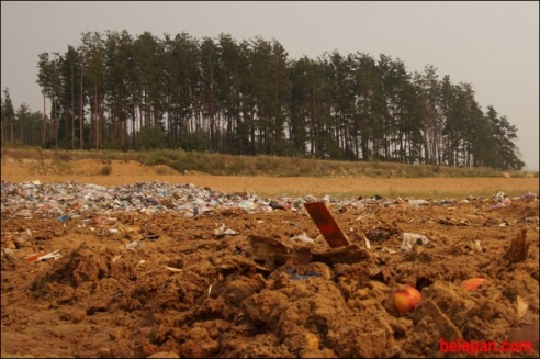 ФОТОФАКТ: Как в России уничтожают санкционные персики
