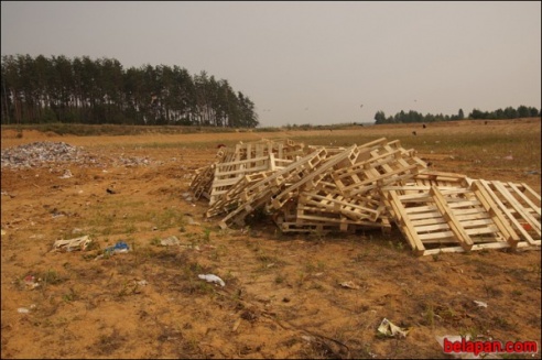 ФОТОФАКТ: Как в России уничтожают санкционные персики