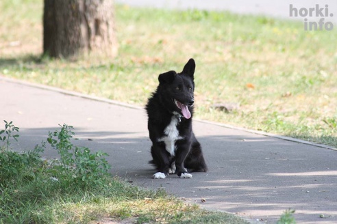 Один знойный день в Горках. 30 фото, от которых станет еще жарче