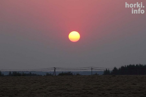 Один знойный день в Горках. 30 фото, от которых станет еще жарче