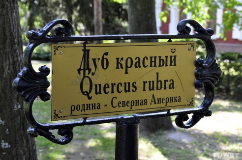 Старый фольварк, дворец с купюры и ржавые суда времен перестройки. Пять причин посетить Гомель