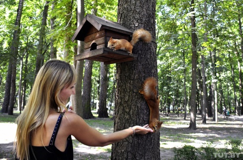 Старый фольварк, дворец с купюры и ржавые суда времен перестройки. Пять причин посетить Гомель