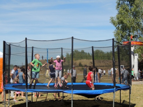 День Военно-воздушных сил в Бобруйске