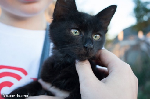 Фоторепортаж: самому большому в Беларуси приюту для бездомных животных оказали помощь