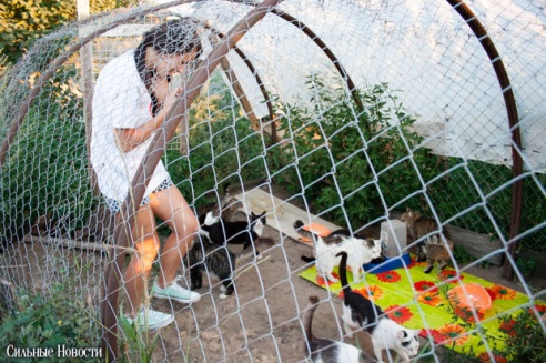 Фоторепортаж: самому большому в Беларуси приюту для бездомных животных оказали помощь