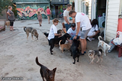 Фоторепортаж: самому большому в Беларуси приюту для бездомных животных оказали помощь