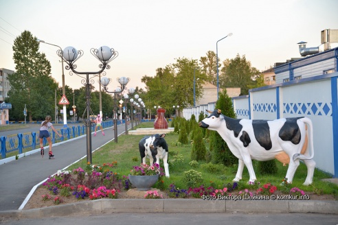 Молоко для бобра и бобруйчан