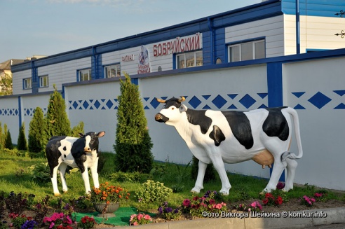 Молоко для бобра и бобруйчан