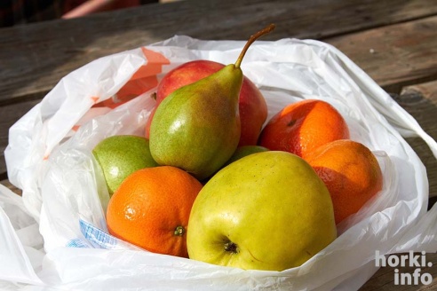 Яблоки можно есть – православные в Горках отпраздновали Спас. Фоторепортаж