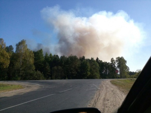 Под Борисовом горит свалка