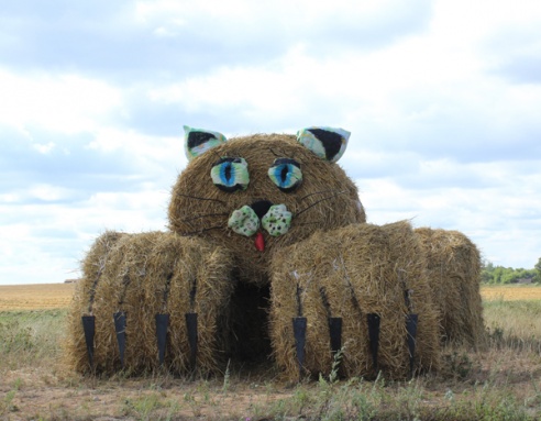 Вдоль автодороги Р-21 Витебск-Лиозно «выросли» соломенные фигуры