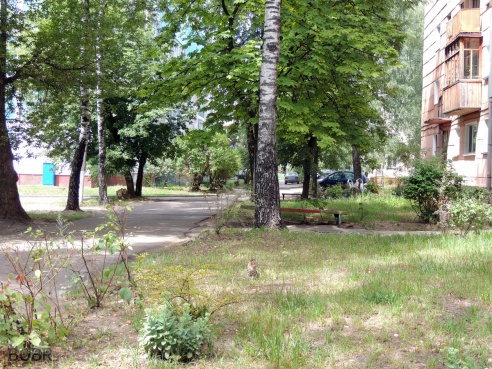 Авиагородок. Взгляд со стороны