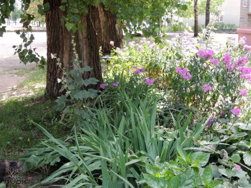 Авиагородок. Взгляд со стороны