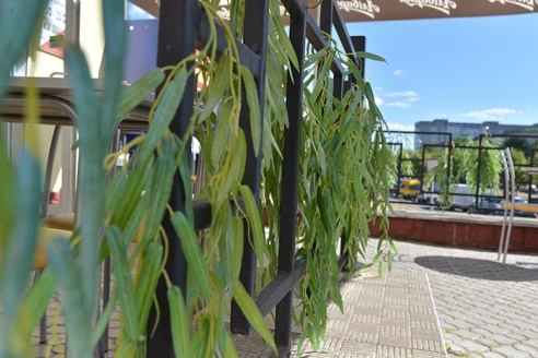 Едим в Советском: где в районе вкусно и недорого пообедать?