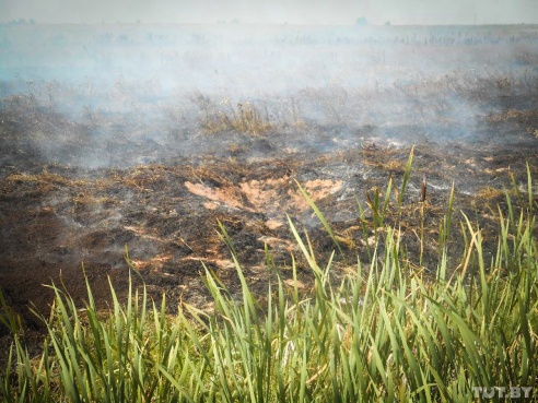 Под Бобруйском вторые сутки горит торф