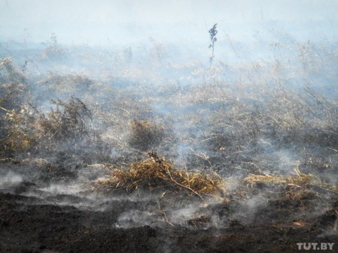 Под Бобруйском вторые сутки горит торф