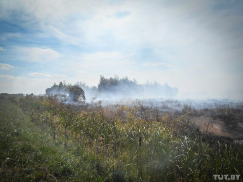 Под Бобруйском вторые сутки горит торф