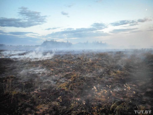 Под Бобруйском вторые сутки горит торф