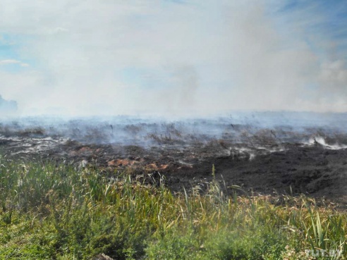 Под Бобруйском вторые сутки горит торф