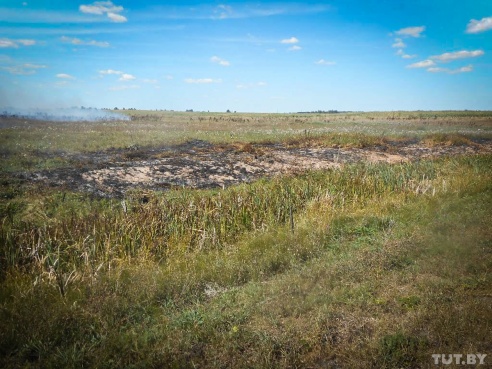 Под Бобруйском вторые сутки горит торф