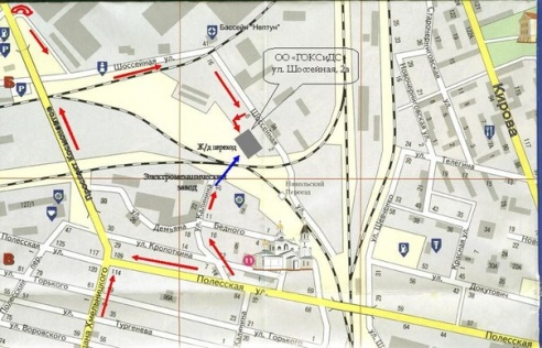 В Гомеле состоится Шестая клубная выставка собак всех пород
