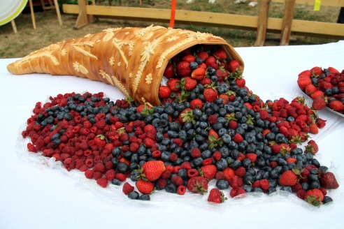 На Августовском канале прошел чемпионат по плаванию на чем попало